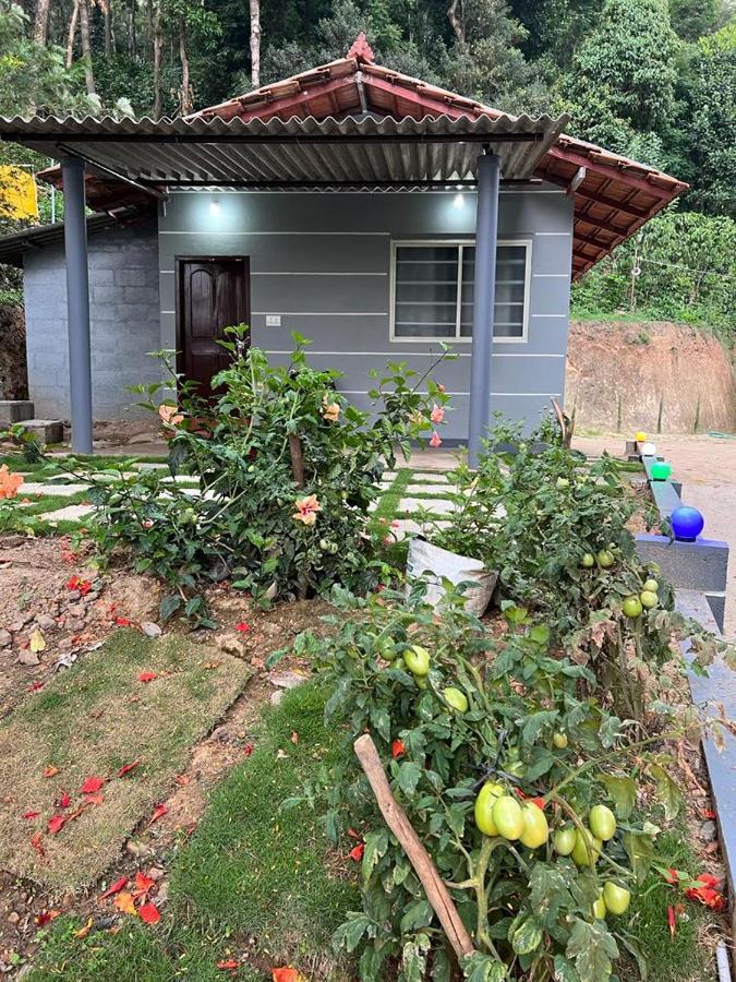 Darshan'S Home Stay 马迪凯里 外观 照片